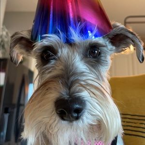 Meet your Posher, Kari